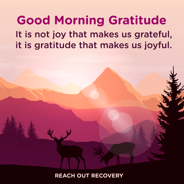 Good morning Gratitude joy