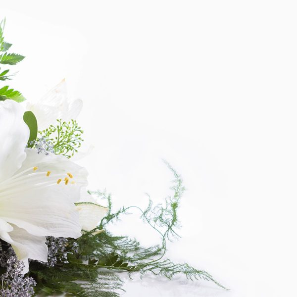 Lily for Mothers Day Remembrance