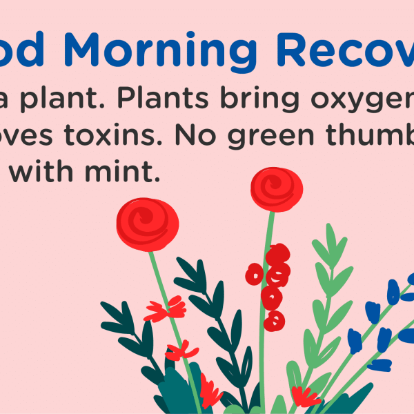 Good Morning Recovery plants