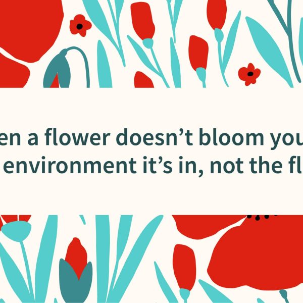 fix the environment quote
