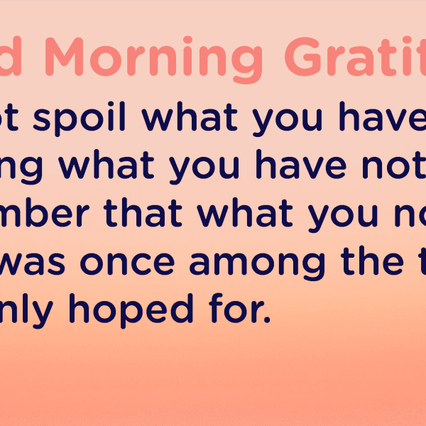 Good morning Gratitude spoil
