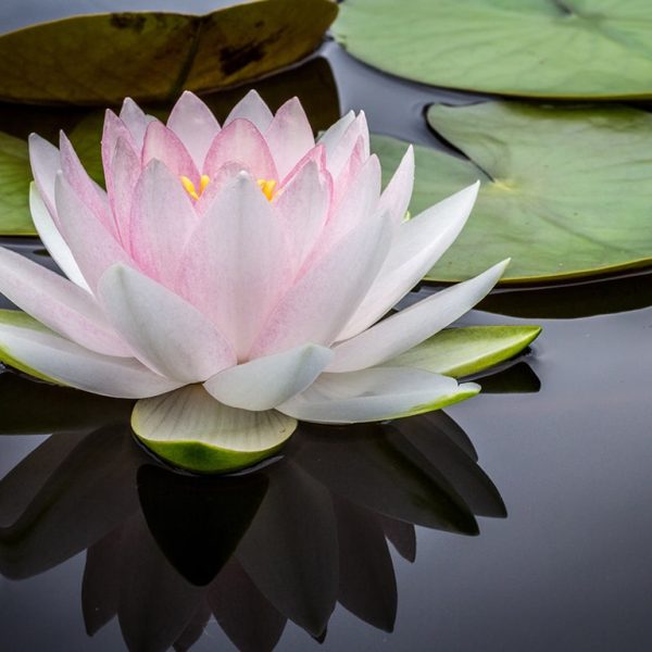 Substance-Recovery-Is-Possible