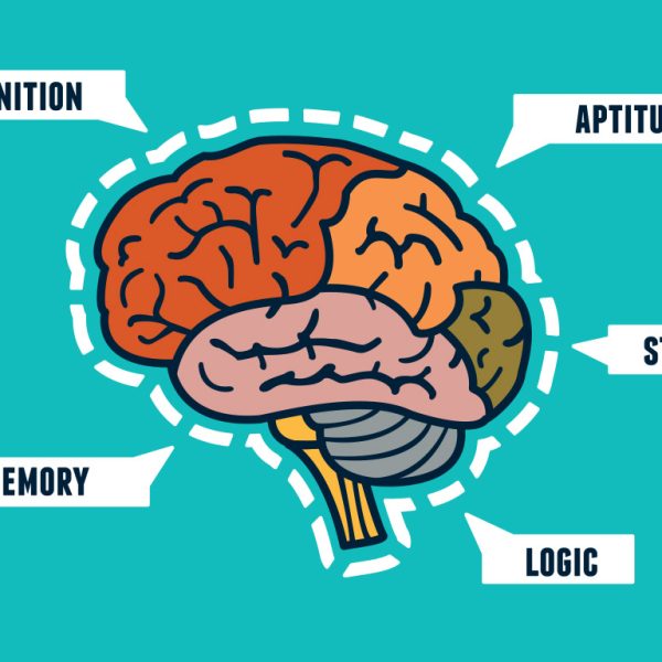 graphic of brain functions
