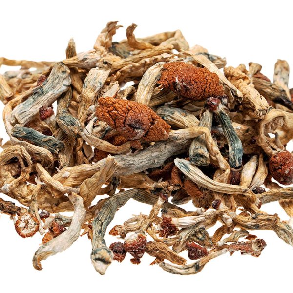 magic mushrooms